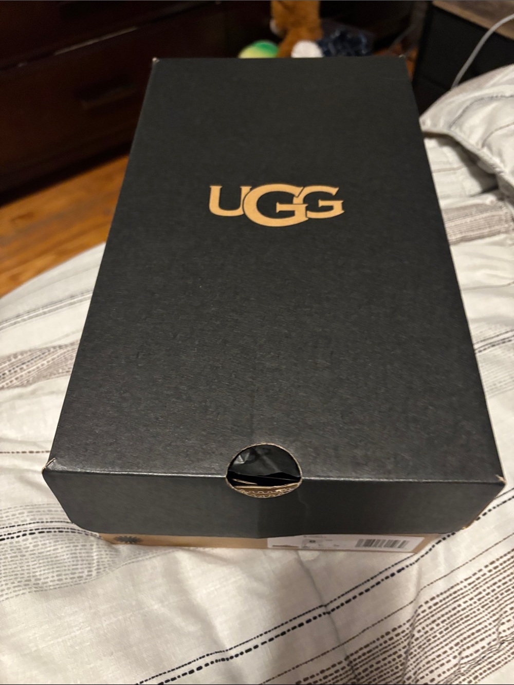 men's UGG slippers
